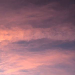 Meet your Posher, Amelia